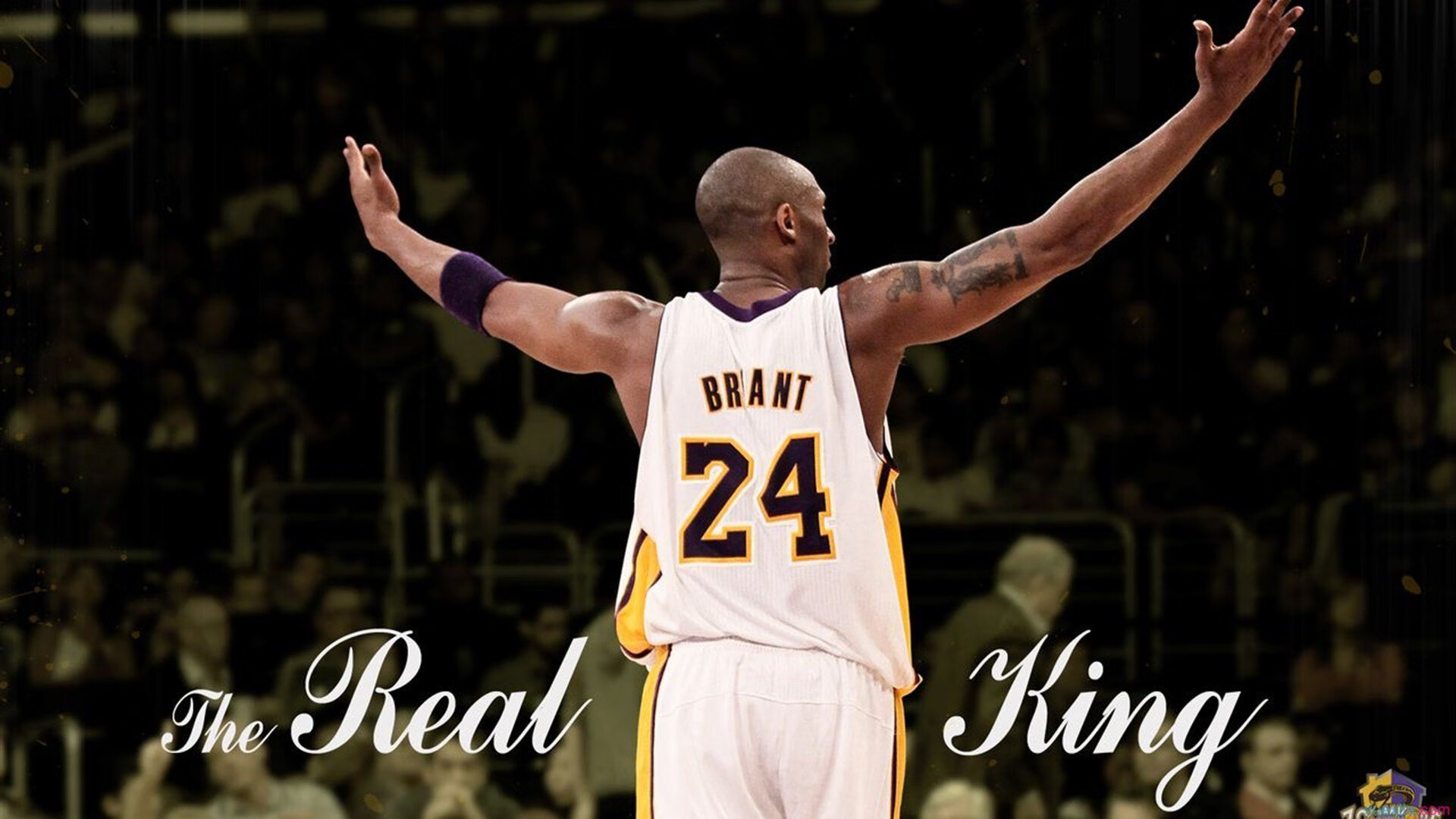 年终总决赛力克ATP总决赛，梅德韦杰夫统治全场，一场定义时代的胜利